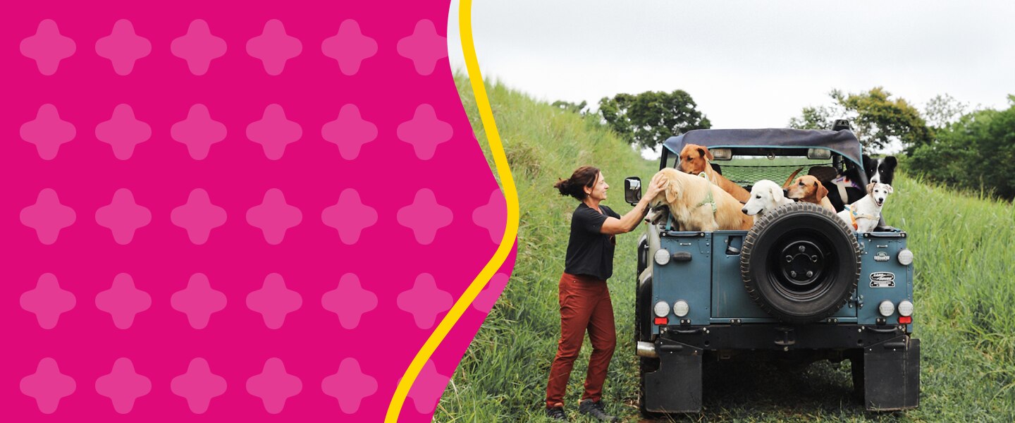 Banner do parceiro