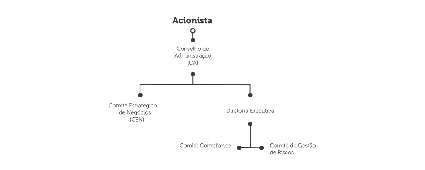 Estrutura de Governança Corporativa