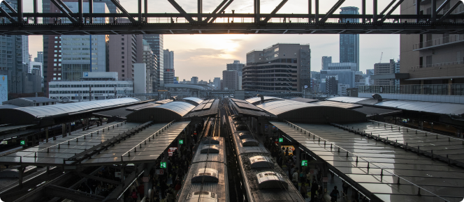 ALT texto alternativo