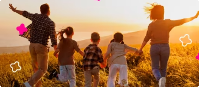 O que você precisa saber